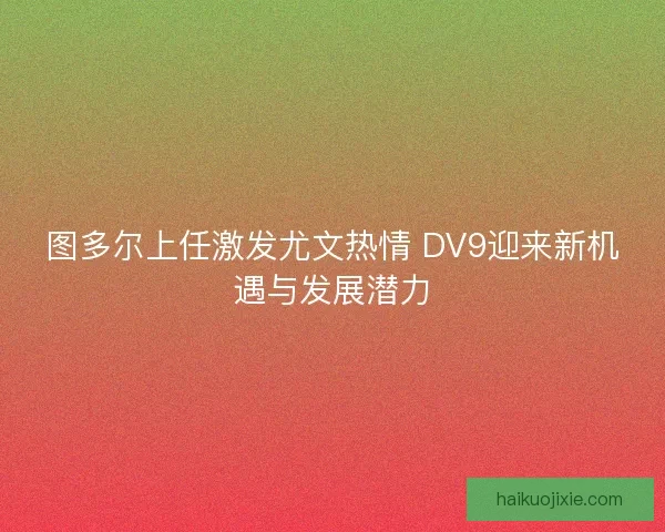 图多尔上任激发尤文热情 DV9迎来新机遇与发展潜力