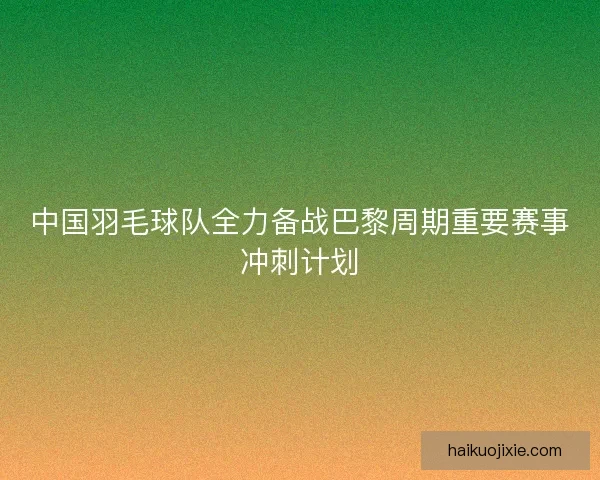 中国羽毛球队全力备战巴黎周期重要赛事冲刺计划