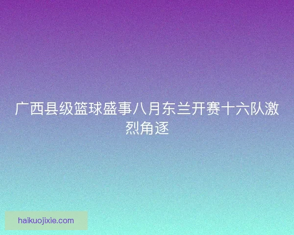 广西县级篮球盛事八月东兰开赛十六队激烈角逐